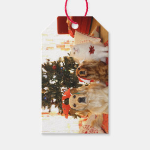 Noël choie les étiquettes mignonnes de cadeau