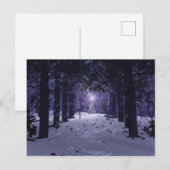 Noël dans la carte postale Pines (Devant / Derrière)