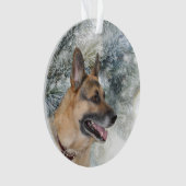 Noël de berger allemand (devant)