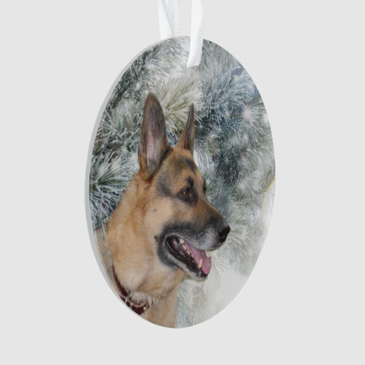 Noël de berger allemand (devant)