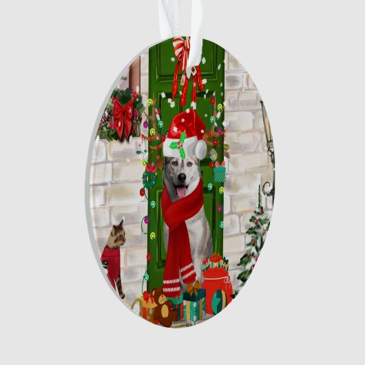 Noël de Chien Husky Sibérien (devant)