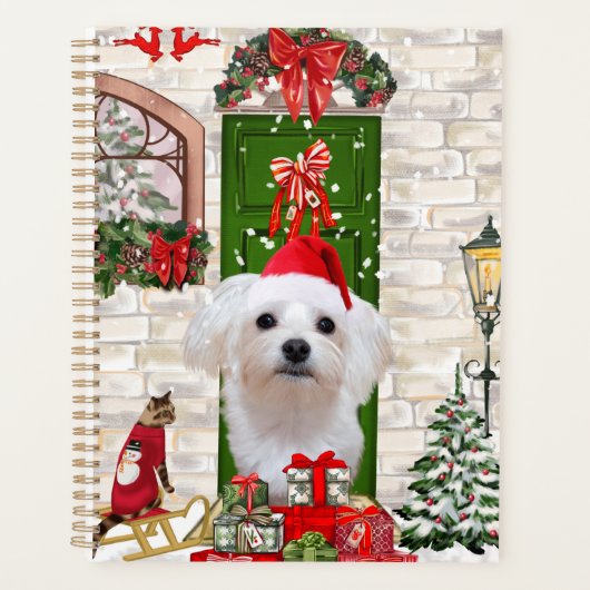 Noël de chien maltais (Devant)