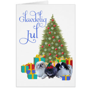 Noël de la famille Pekingese