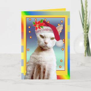 Noël de Meow de Père Noël de chat de la carte  