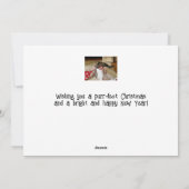 Noël des chats mignons, en appréciant les cartes d (Dos)