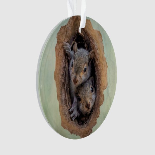 Noël des écureuils gris (devant)