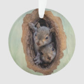 Noël des écureuils gris (devant)