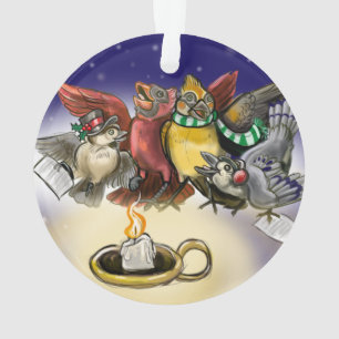 Noël des oiseaux en covoiturage
