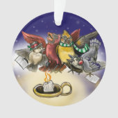 Noël des oiseaux en covoiturage (devant)