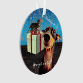 Noël Doberman Choqué (devant)