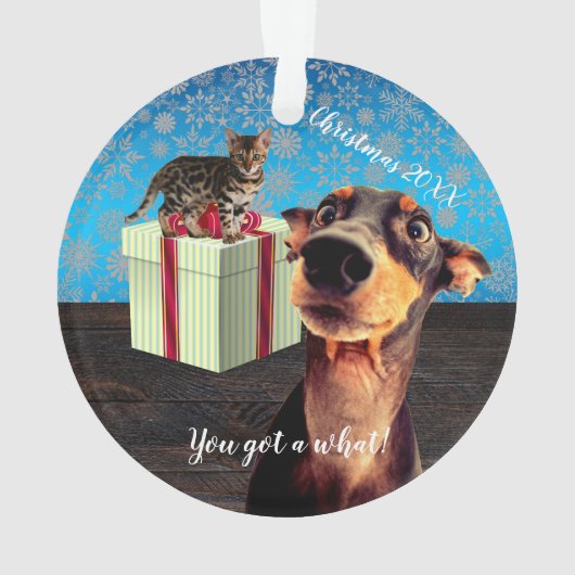 Noël Doberman Choqué (dos)