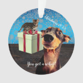 Noël Doberman Choqué (devant)