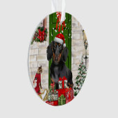 Noël du chien Dachshund (devant)
