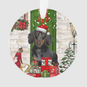 Noël du chien Dachshund