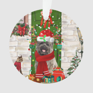 Noël du chien de Cairn Terrier