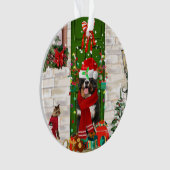 Noël du chien de montagne bernois (devant)