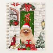 Noël du chien de Poméranie (Devant)