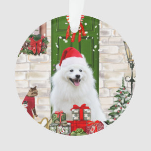 Noël du Chien de Spitz