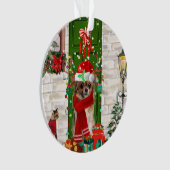 Noël du Chihuahua (devant)