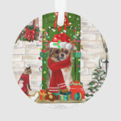 Noël du Chihuahua (dos)