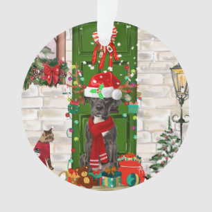 Noël du grand chien Danois