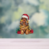 Noël Éclairage Santa Chapeau Cocker Spaniel Chien  (Neutre)