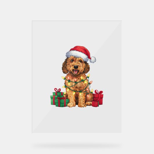 Noël Éclairage Santa Hat Labradoodle Chien Noël (Recto)