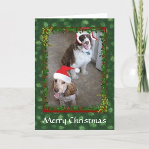 Noël Espagnol Animaux de compagnie Père Noël Carte