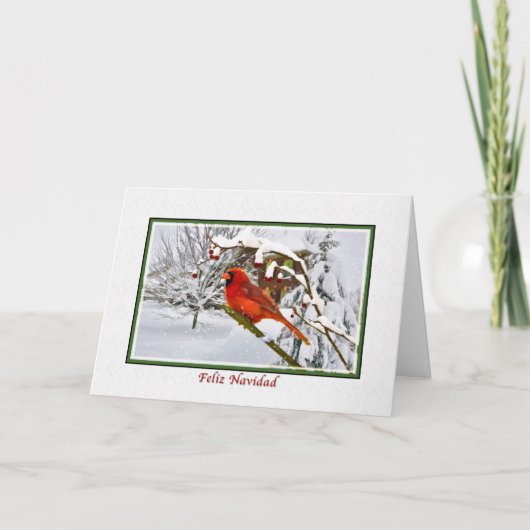 Noël, Espagnol, oiseau cardinal, neige, carte (Devant)
