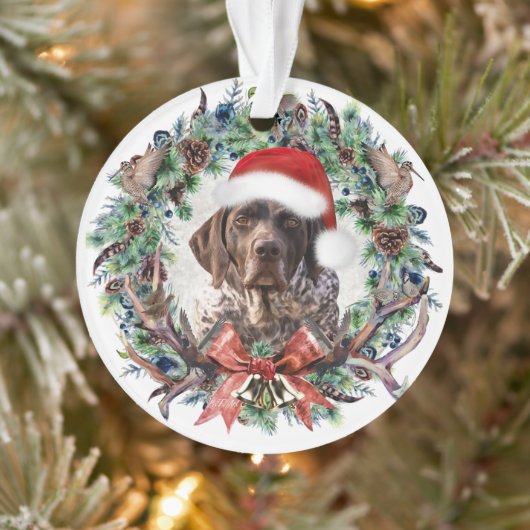 Noël Gsp (Arbre)