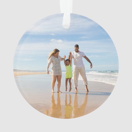 Noël hawaïen de la tortue de mer d'argent (dos)