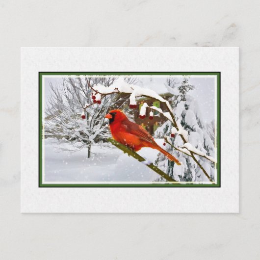 Noël, Hiver, Oiseau cardinal, Neige, Carte postale (Devant)