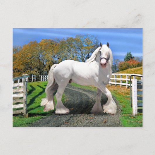 "Noel in Splendor" Briefkaart (Voorkant)