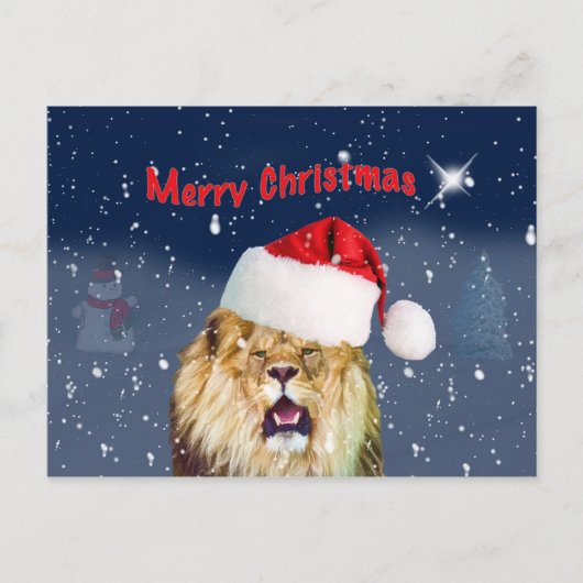 Noël, Lion en Santa Hat, Étoile, Carte postale de (Devant)