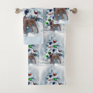 Noël malinois belge