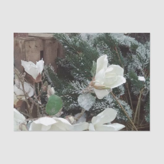 noel mousselinepapier tissuepapier (Voorkant)