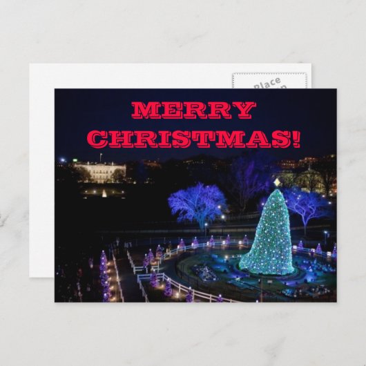 Noël Nat'l Tree - Carte postale (Devant / Derrière)