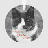 Noël noir et blanc de chat (dos)