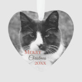 Noël noir et blanc de chat (devant)