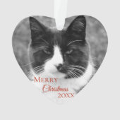 Noël noir et blanc de chat (dos)