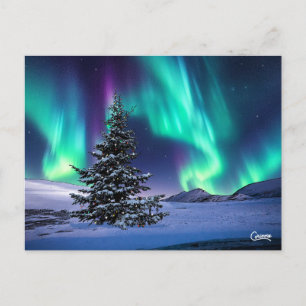 Noël Northern Lights - Carte postale