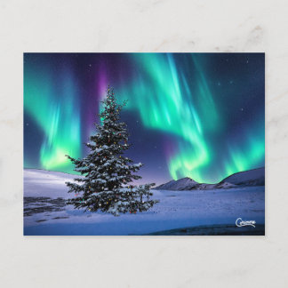 Noël Northern Lights - Carte postale