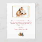 Noël Nouvelle carte Faire-part de naissance bébé (Dos)