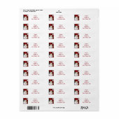 ***NOËL PÈRE NOËL GOURD*** ÉTIQUETTES D'ADRESSE DE (Feuille entière)