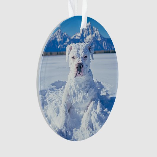 Noël Pitbull Chien Snowman (devant)