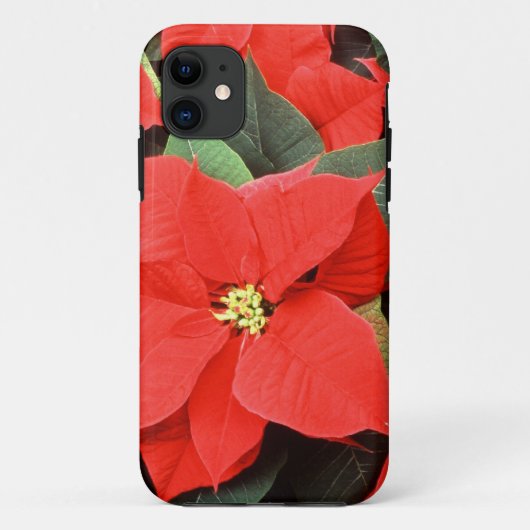 Noël Pointsettia iPhone 5 Coque (Dos)