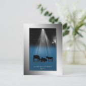 Noël, religieux, nativité, étoiles, carte postale (Debout devant)