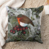 Noël Robin Coussin (Couverture)
