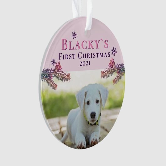 Noël rose chiot photo (devant)