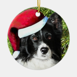 Noël Santa Hat Bordure Collie Ornement